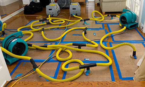 Professional Water Damage Repair technician working in Auburn, IN